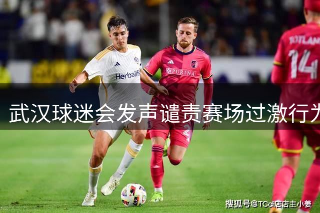 武汉球迷会发声谴责赛场过激行为 呼吁文明观赛